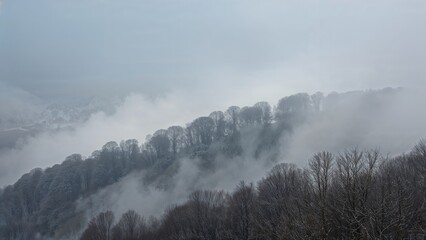 Foggy winter scene with layered trees over a tranquil lake