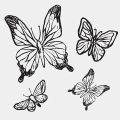 Hand-drawn sketch of four butterflies, symbolizing nature, spring, and freedom. Vintage vector sketch illustration. Nature drawing, animals design. Print, clothes