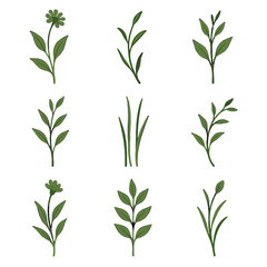 Fototapeta premium Botanical stems leafy bending floral icon vector stem fresh growth shoots