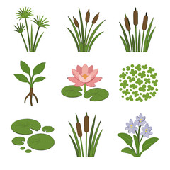 Bulrush water swamp blooms mats icons pad vector icon vegetation papyrus flowers