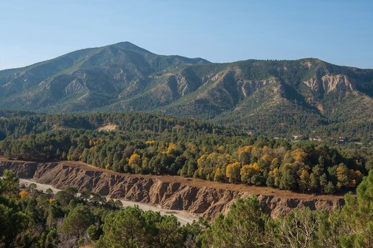 Rehabilitation of an abandoned open-pit copper mine site with forest growth on reclaimed waste heaps - Powered by Adobe