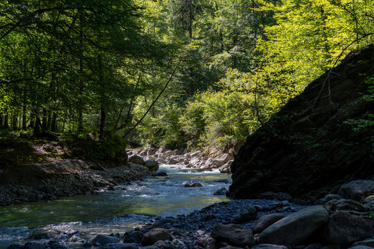 mountain river Samina in the forest in a riverbed with rocks and trees on both sides towrds blue sky in Saminatal in Vorarlberg Austria