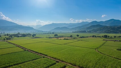 Using Drones to Capture Mountain Landscapes and Paddy Fields