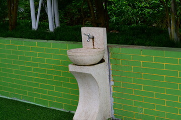 Tree canopy with filtered sunlight and green foliage