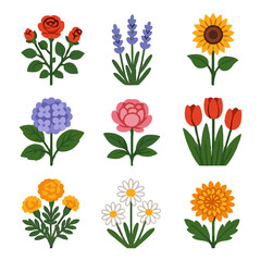 Garden bunch flowers marigold peony tulip rose daisy hydrangea plant vector icon