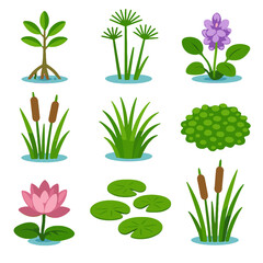 Flowers bulrush duckweed saplings hyacinth clusters vegetation icons marsh blooms vector icon