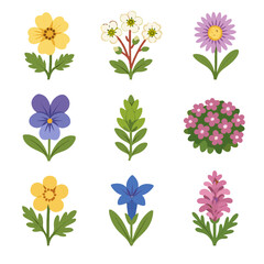 Vector buttercup flora gentian cinquefoil alpine sedum snow icon flower glacier