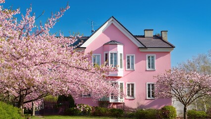 Beautiful House Surrounded by Sakura Trees in Bloom