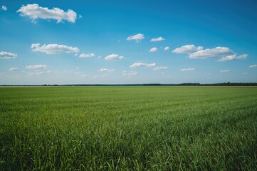 Obraz premium Scenic view of a clear blue sky over a colorful landscape