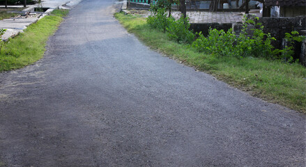 Asphalt rural road with greenery on the side / Jalan aspal pedesaan dengan pepohonan hijau di tepi
