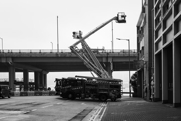 freight train in the port