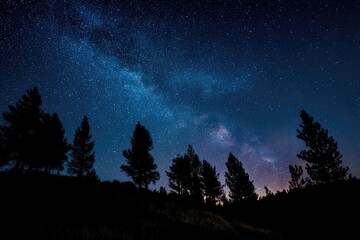 Silhouetted trees against a night sky filled with stars and the Milky Way (1)