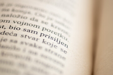 Open book close up, paragraph and margin on page