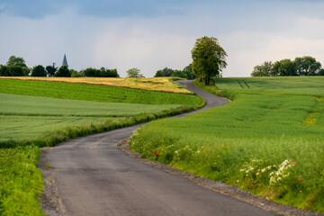 a winding road among green fields