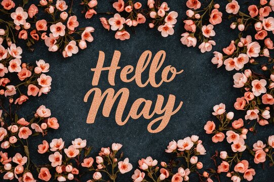 Greetings for May with spring blossoms on a dark backdrop. Apricot flower. Overhead perspective. Apricot blooms against a colorful surface. Seasonal theme
