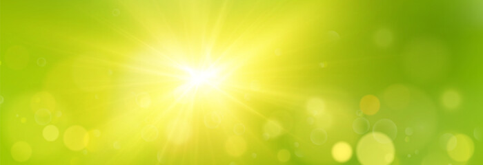 Bokeh Background on Green Summer Backdrop with Soft Blur and Light Effect. Fresh Natural Abstract Overlay with Glowing Circles and Sunlight Particles for Seasonal or Eco Design Projects	