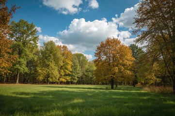 Urban Woodland Retreat Amidst Nature