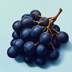 A bunch of dark-purple grapes on a light-blue background. Detailed illustration of fresh, plump grapes with a stem