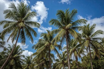 Blue Sky with Palm Trees