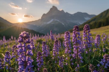 Fototapeta premium Beautiful alpine meadow filled with blooming lilac and bluebell wildflowers under a warm sunrise