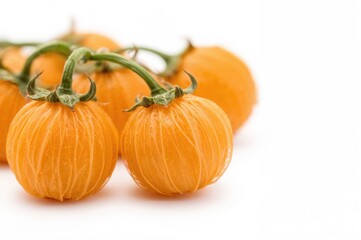 Obraz premium Close-up of orange Physalis berries on a white backdrop, showcasing natural autumn fruits