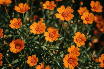 Spring's vibrant orange blooms bring beauty anew