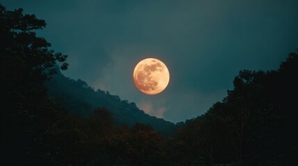 Full Moon Rises Over Forest at Night