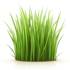 Lush green grass tuft against white background