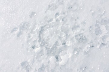 Obraz premium Smooth snowy terrain with natural winter textures from a top-down perspective