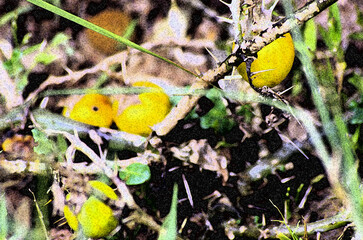  Beautiful Abstract art work with multiple colours 