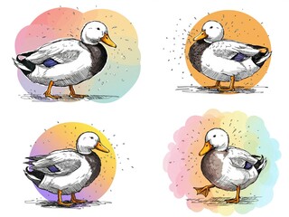 Illustrated ducks walking and standing with colorful backgrounds  