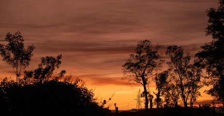 Siluetas de árboles al atardecer con cielo anaranjado y nubes