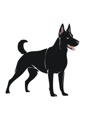 Belgian Malinois dog line vector illustration white background	