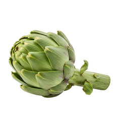 Fototapeta premium Whole raw green artichoke isolated 