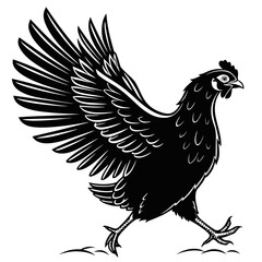 Rooster vector illustration