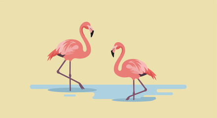 Fototapeta premium Flamingos Standing Together in Shallow Water