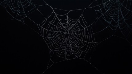 Intricate Cobweb Pattern on Dark Background Captured in High Detail, Showcasing Nature's Artistry and Fragility in an Atmospheric Setting