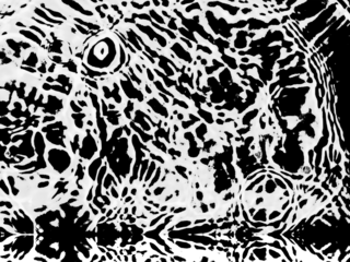 transparent threshold pool water, Realistic blue water texture PNG with natural light reflections soft ripples on the surface. Ideal for summer, pool, ocean, or aquatic-themed backgrounds and design