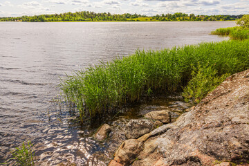 Beautiful view of lake shore with reeds, rocks, bushes and distant village houses with forest background. Sweden.