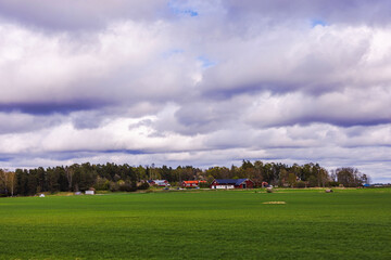 Fototapeta premium Green farmland with red farmhouses and forest framed by dramatic cloudy spring sky. Sweden.