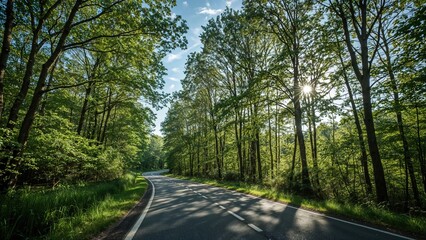 Obraz premium A calm green avenue in a scenic park, suitable for exercise and peaceful reflection, embodying the lively character of nature.