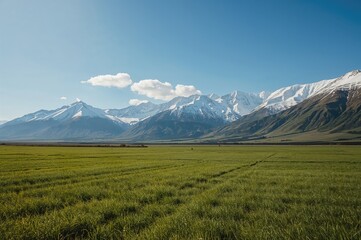 Fototapeta premium Expansive stretches of lush greenery under a clear blue sky