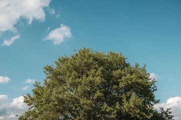 When the landscape paints its own canvas in a Tuscan-like region