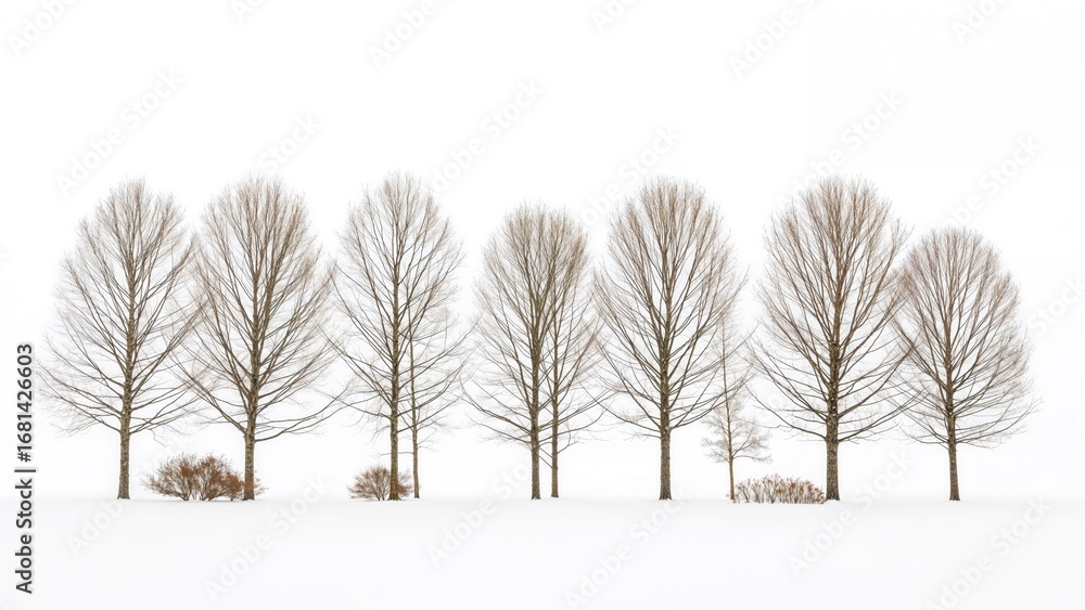 Aufkleber trees aligned in front of a stark white backdrop, produced by generative ai