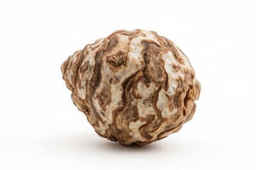 Obraz premium Skate egg capsules, commonly called Mermaid Purses, shown on a white backdrop