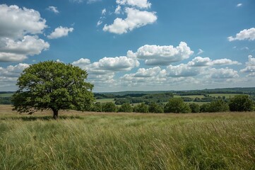 Nature's seasonal vista in the great outdoors