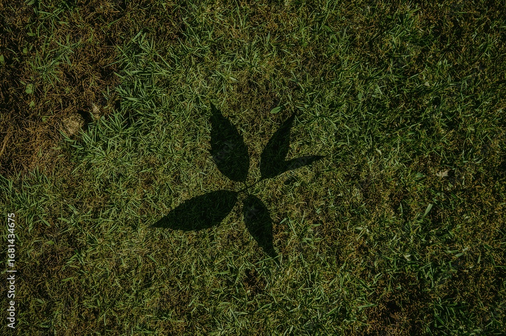 Poster close-up of a green leaf highlighted against a backdrop of grass and moss in a garden setting