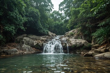 Naklejka premium Tranquil Cascade Descending Amidst Verdant Woods