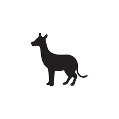 Obraz premium Okapi Silhouette Animal Icon