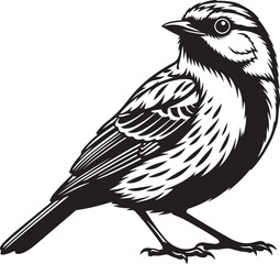 Black and white illustration of a small bird silhouette